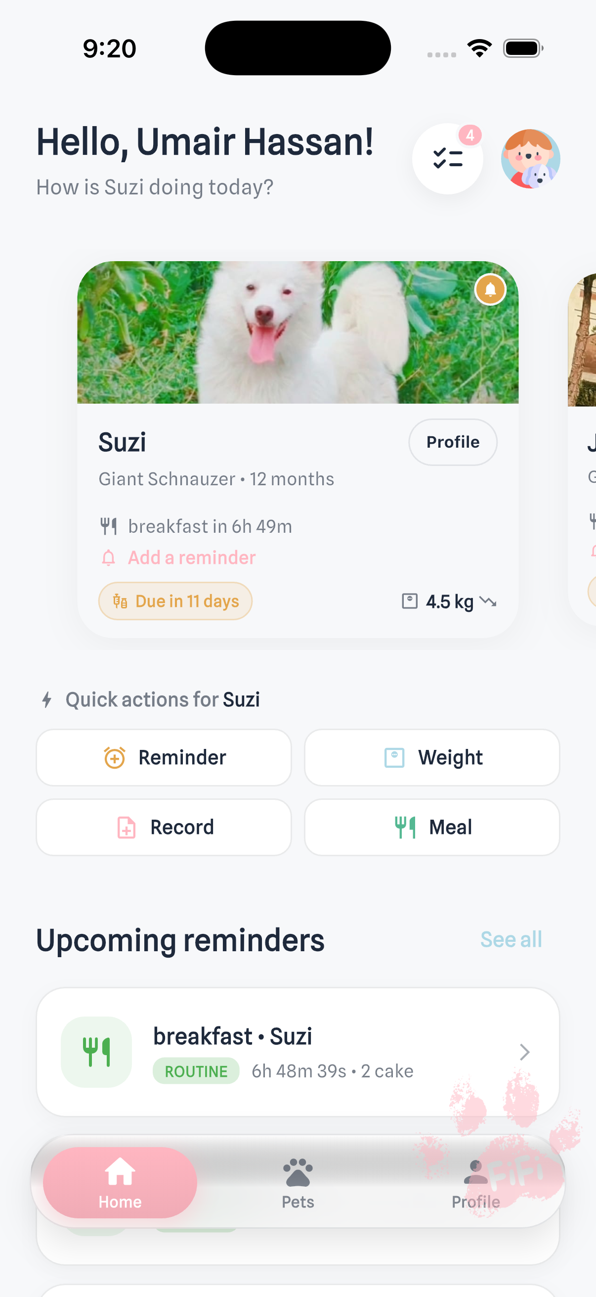 My Little FiFi home dashboard — pet carousel, quick actions and upcoming reminders for the day