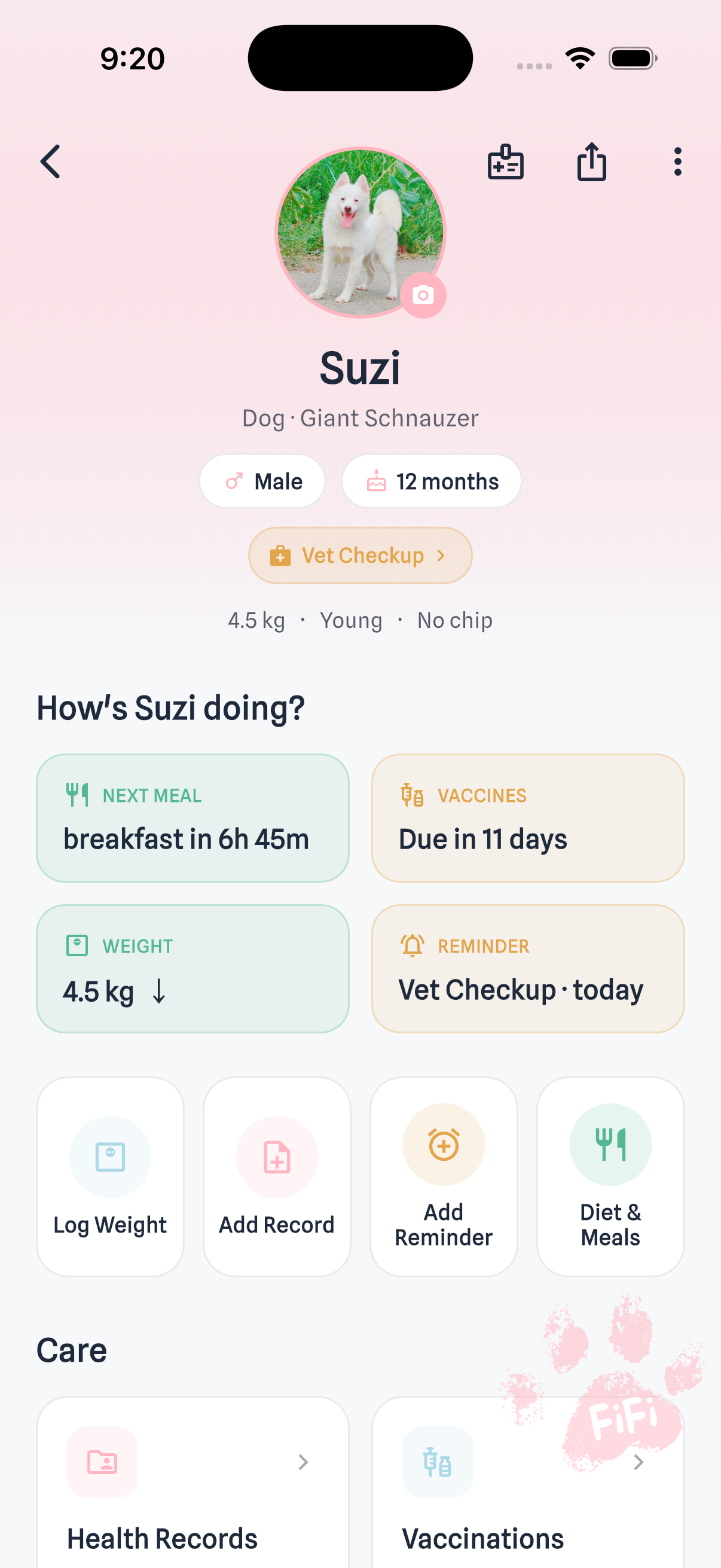 Pet detail screen “How’s Suzi doing?” — next-meal, vaccines, weight and reminder status cards